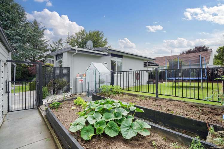 101 Ward Street Waverley_21