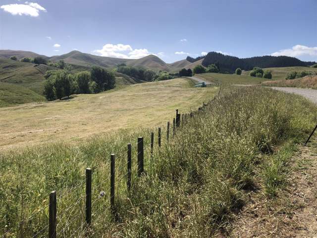 165 Peacock Road Waipukurau_1