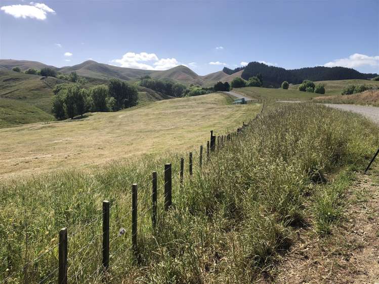 165 Peacock Road Waipukurau_1