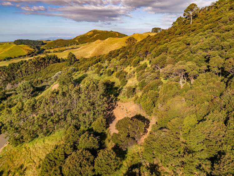 79-85 Awaawaroa Road Waiheke Island_11