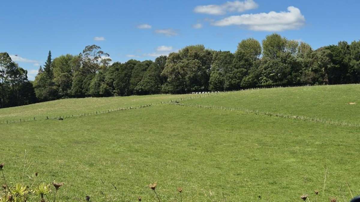 Lot 3/72 Belk Road South_1