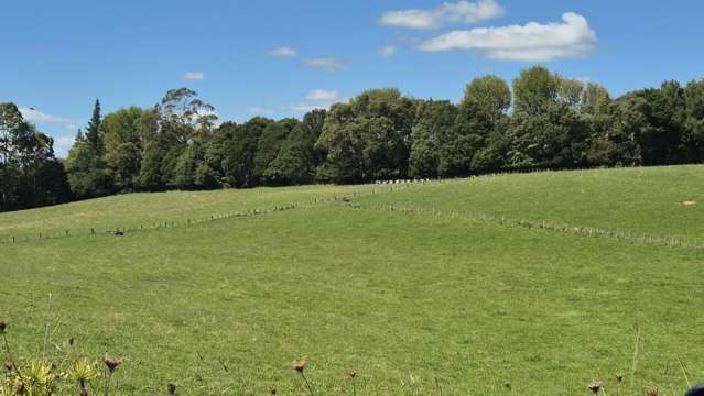 72 Belk Road South Omanawa_4