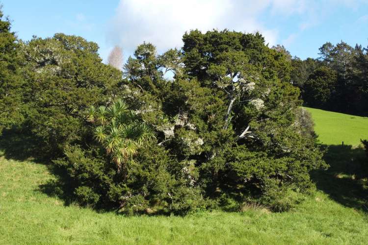 211 Tara Road Mangawhai_13