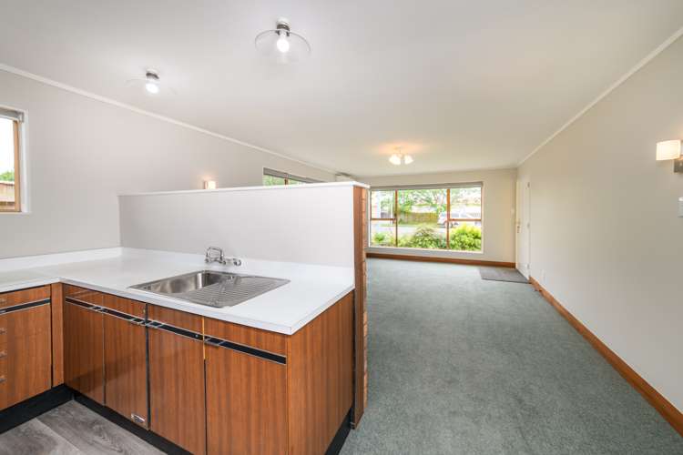 47a Haydon Street Roslyn_6