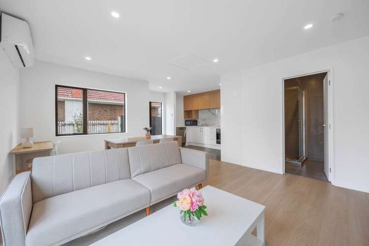 29b Fruitvale Road New Lynn_10