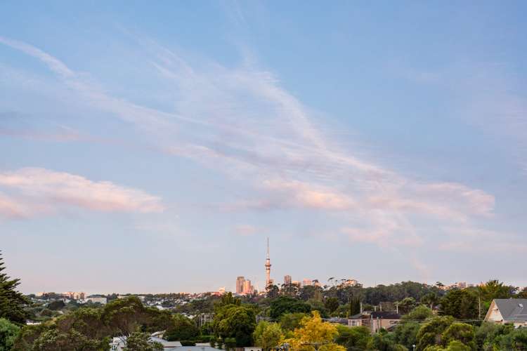 2c Thomas Avenue Mount Albert_12