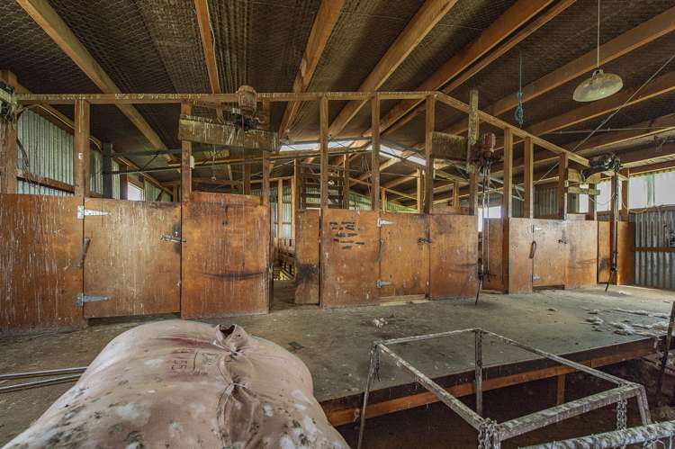 Weedons Ross Road West Melton_10