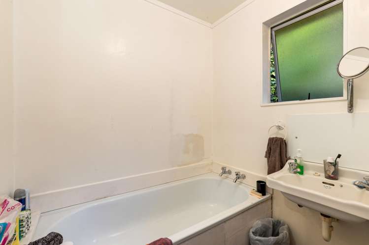 12 Mount Pleasant Road Aro Valley_9