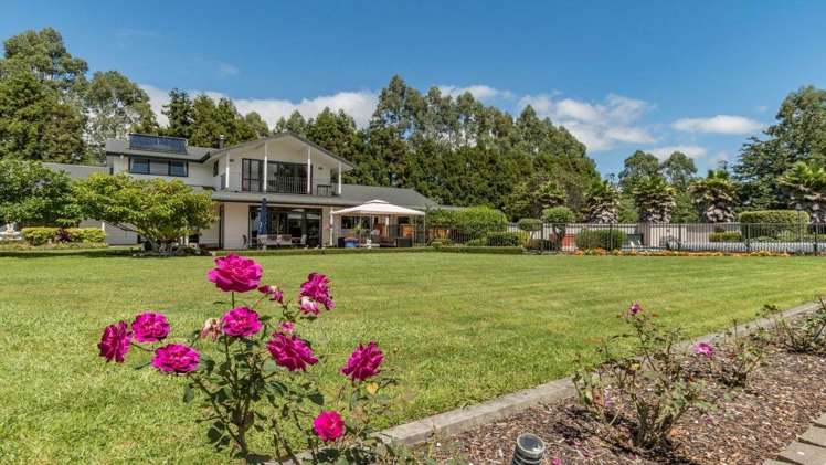 267 Ross Road Whakamarama_12