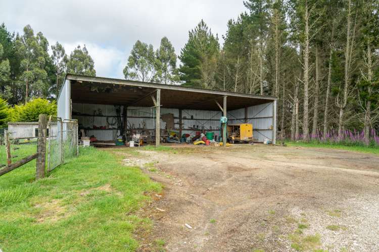 2603 State Highway 41 Kuratau_8