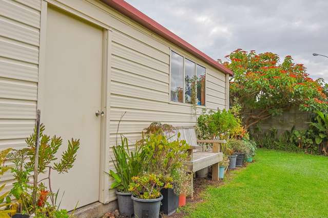 205 Grey Street Thames_2