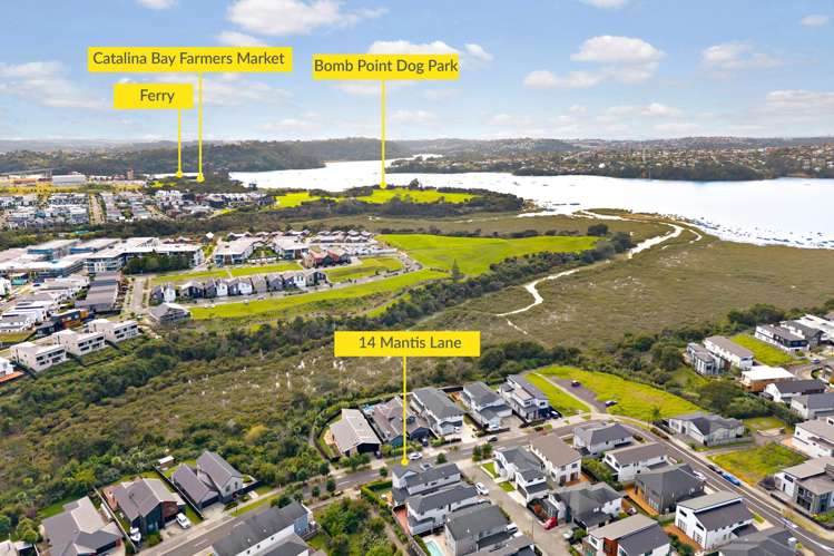 14 Mantis Lane Hobsonville_25