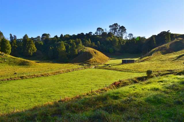 Lot 5/80 Ruatuna Road Waiotahi_2