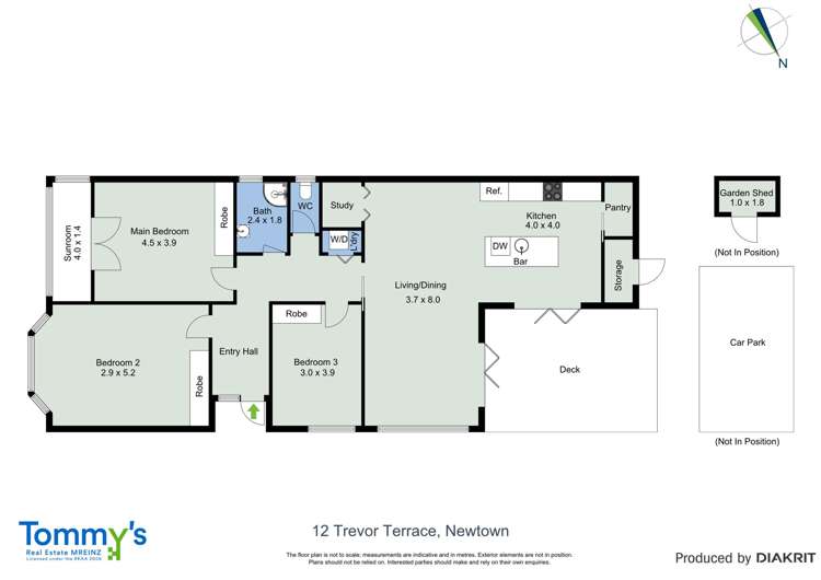 12 Trevor Terrace Newtown_13