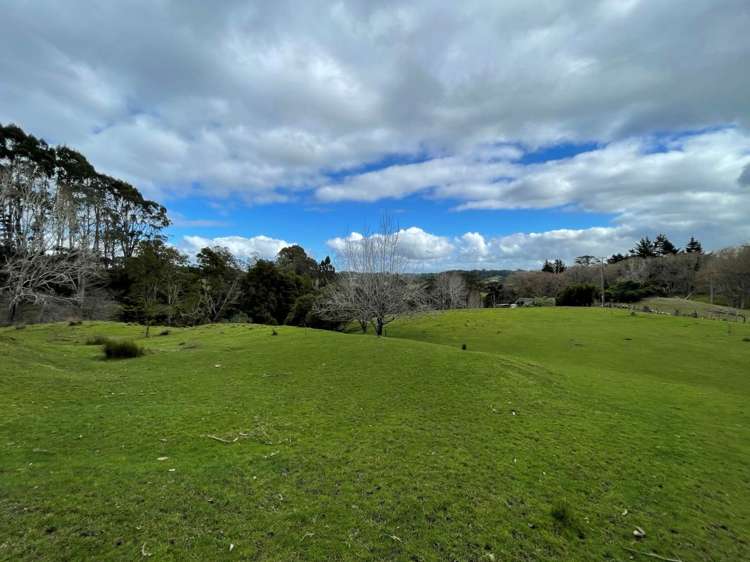 29 Warman Road Okura_6