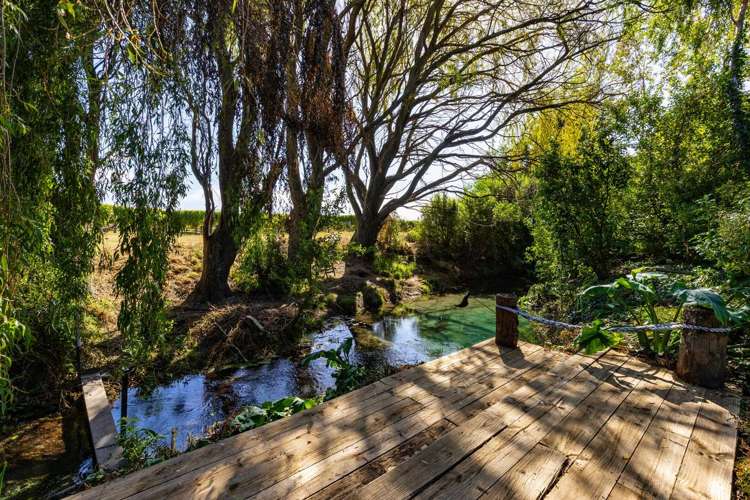 4A Vickerman Street Grovetown_24