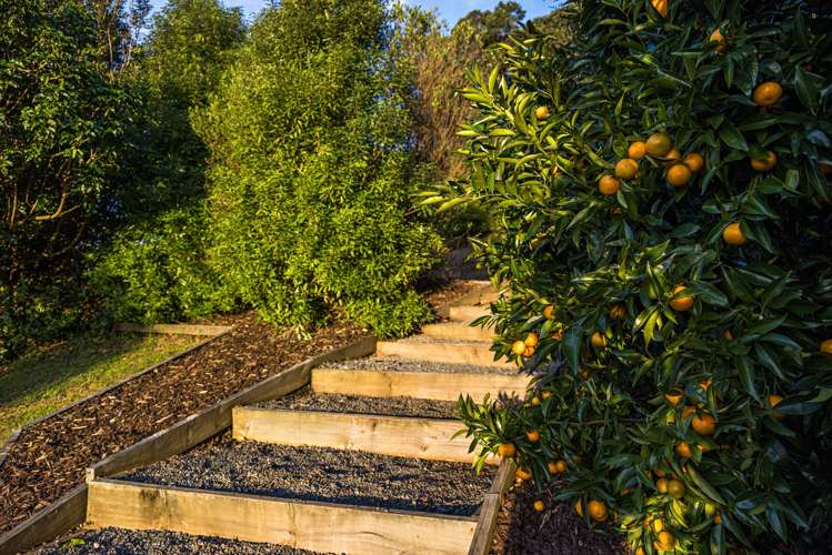 87 Ridge Road Mahurangi East_24