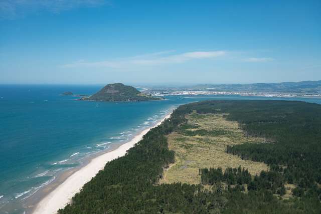 205 Matakana Island, 148 HA Matakana Island_4