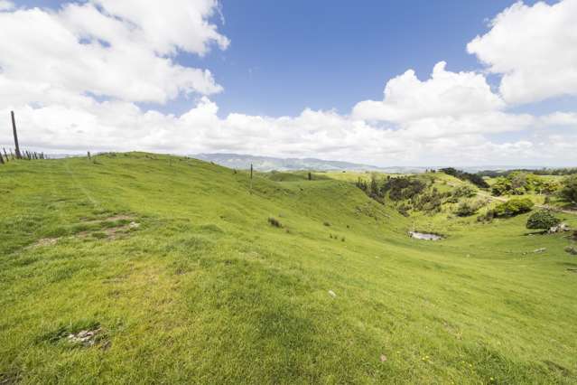 Finnis Road Pohangina_4