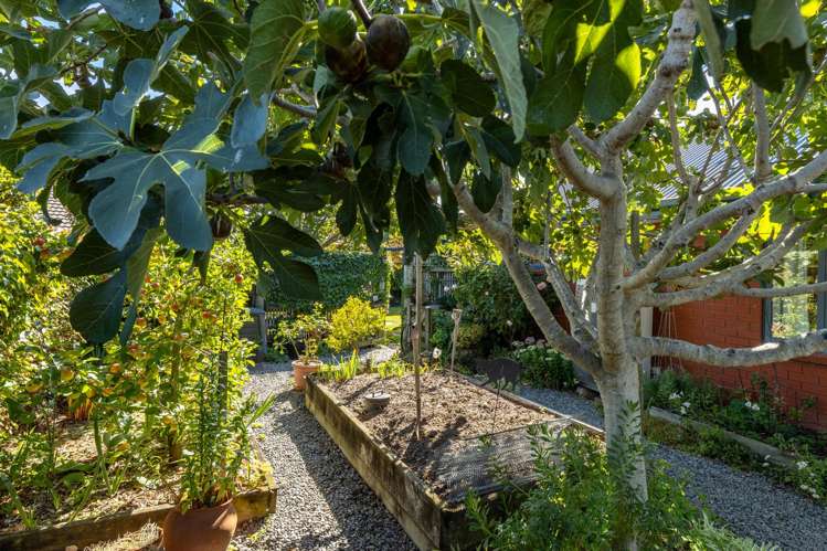 44 Tremorne Avenue Blenheim_32