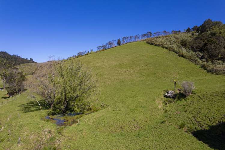 558A Backriver Road Mangonui_5