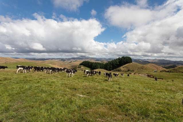 Versatile Grazing Block