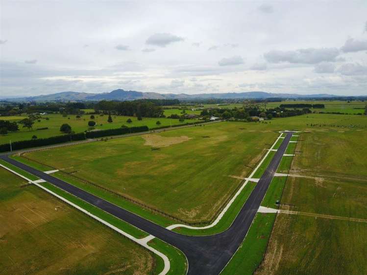 30 Margot Lane Matangi_5