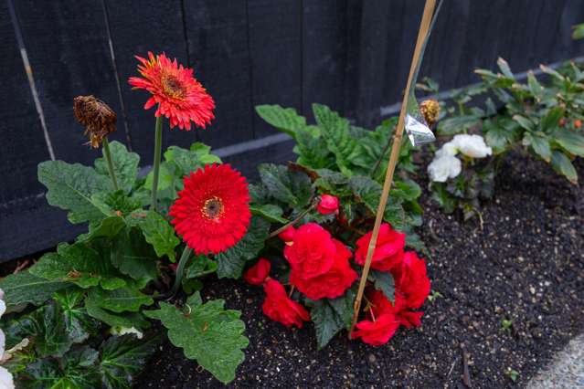 9 Samuel Place Terrace End_2