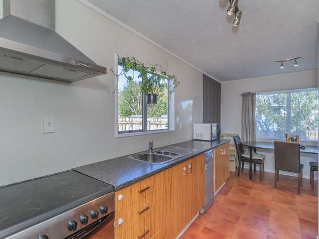 41 Green Avenue Levin_3