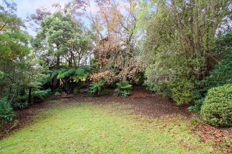 197 Glengarry Road Glen Eden_9