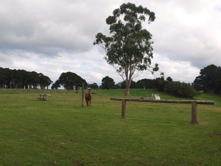 983 Maungakaramea Road Maungakaramea_18