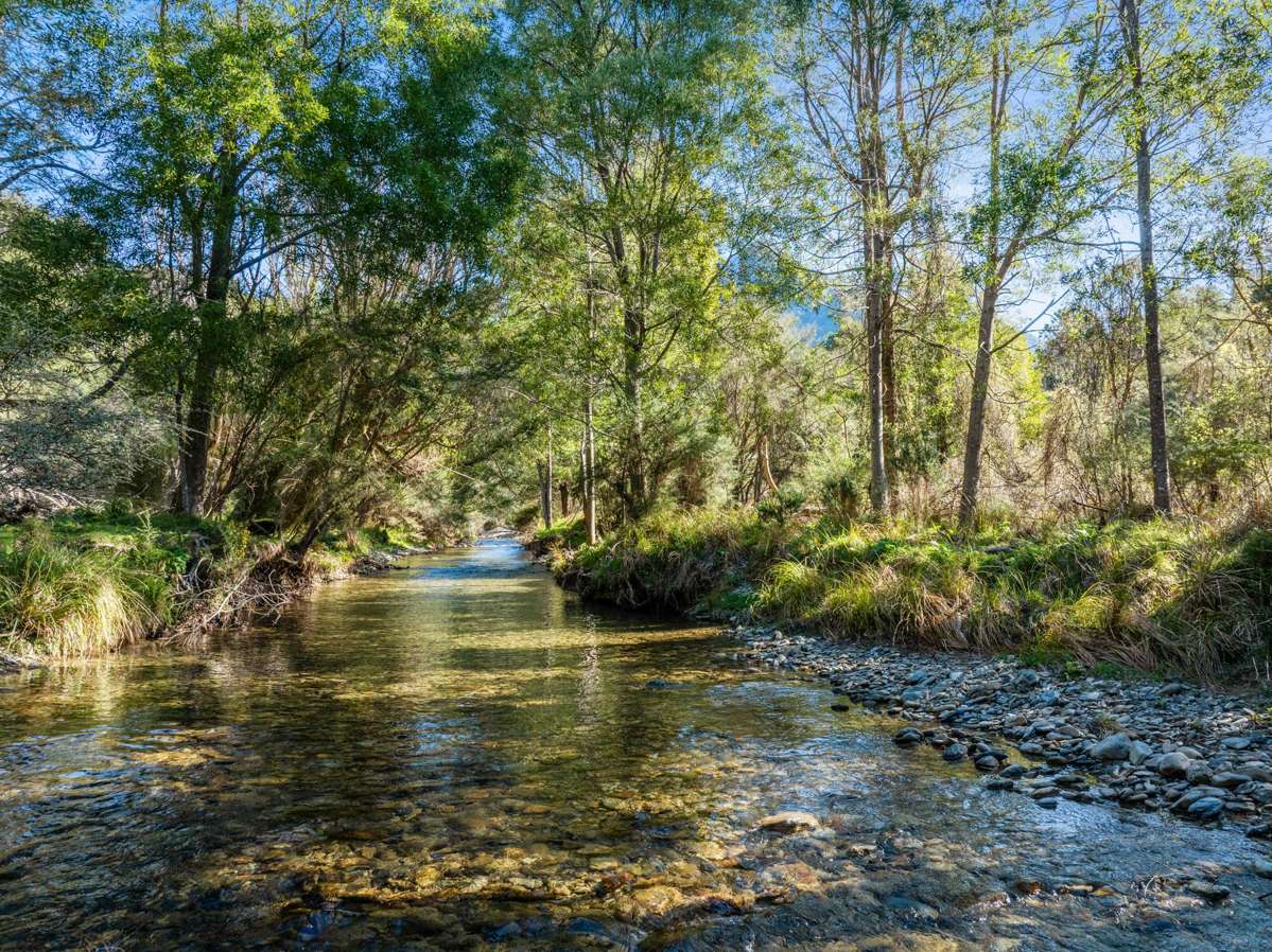 Lots 3 4 5 Nydia Bay_5