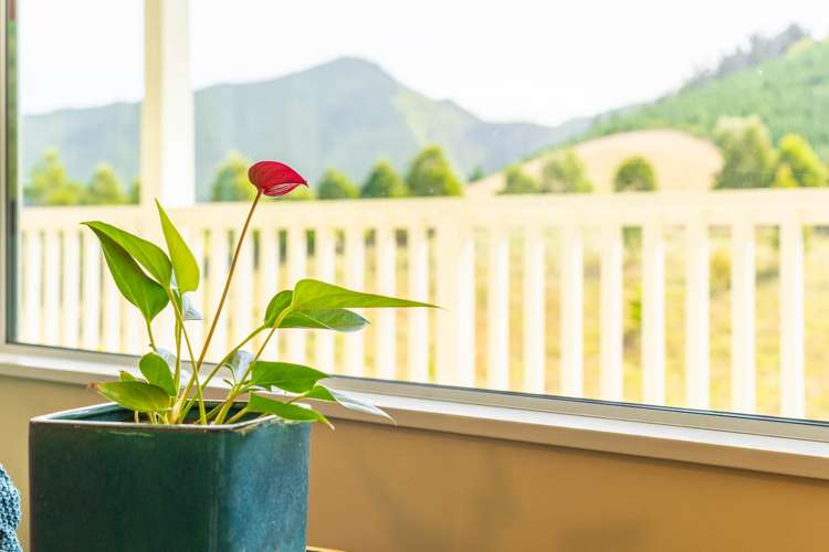 317 Maungatapu Road Pelorus Bridge_36