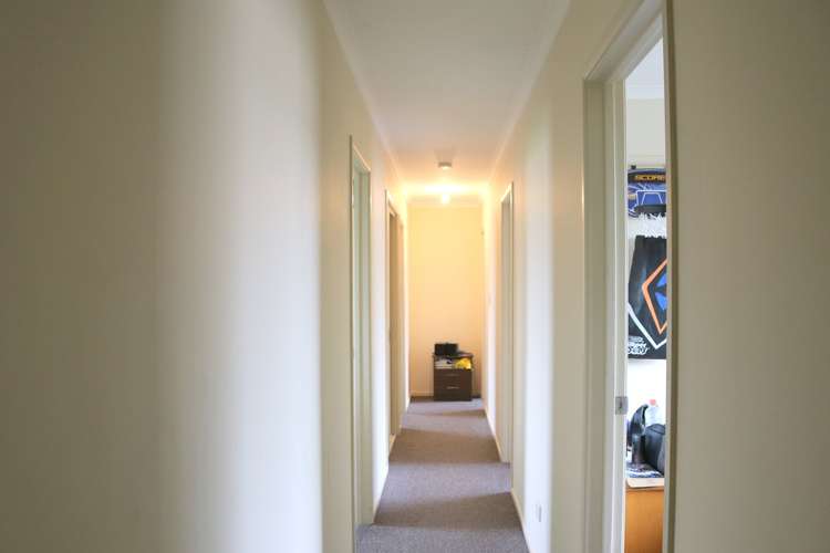 205 John Street Heidelberg_12