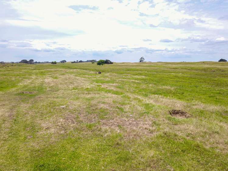 Takahe Street Masterton_20