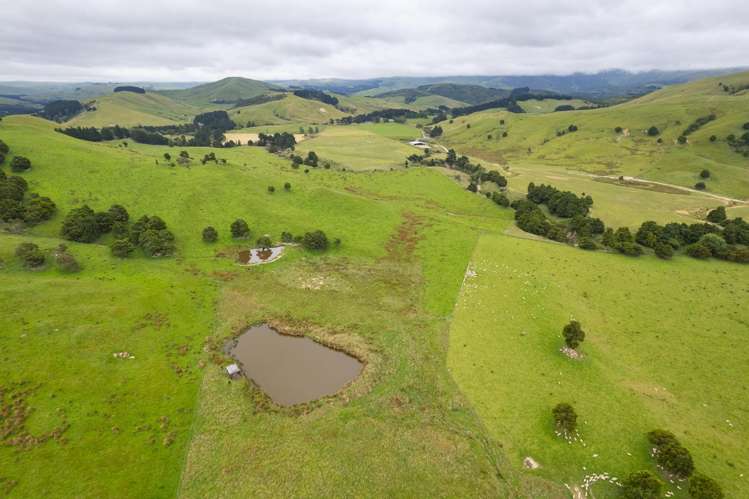 83 Towai Road Dannevirke_30