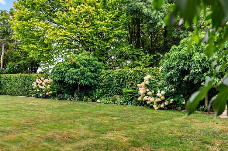 63 Wood Street Greytown_23