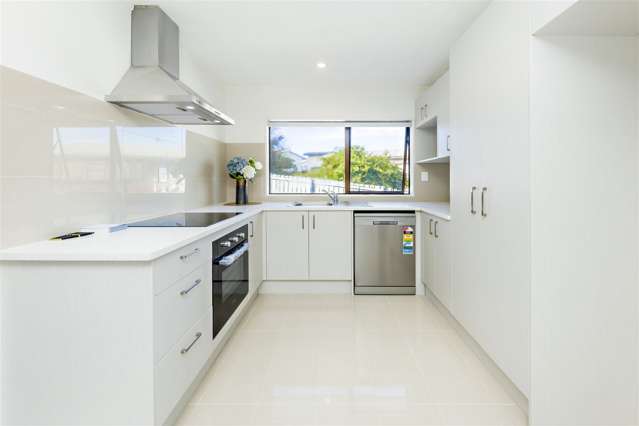 148 Finlayson Avenue Clendon Park_2