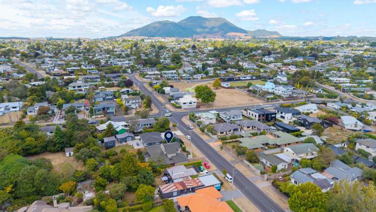 36 Huia Street Bird Area_28