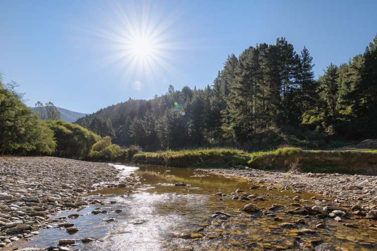 852 Onamalutu Road Wairau Valley_17