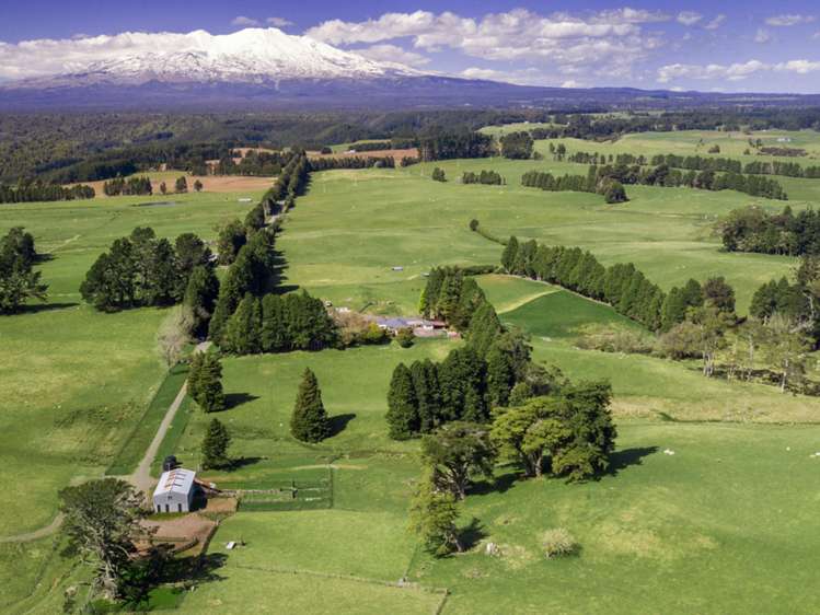 355 Motete Road Raetihi_7