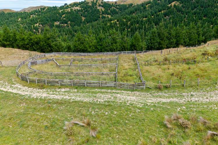 310 Branscombe Road Akitio_17