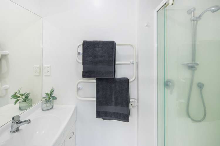 146b Aro Street Aro Valley_9