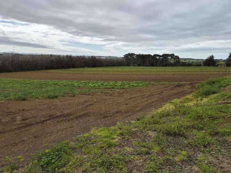 1120I Waiuku Road_0
