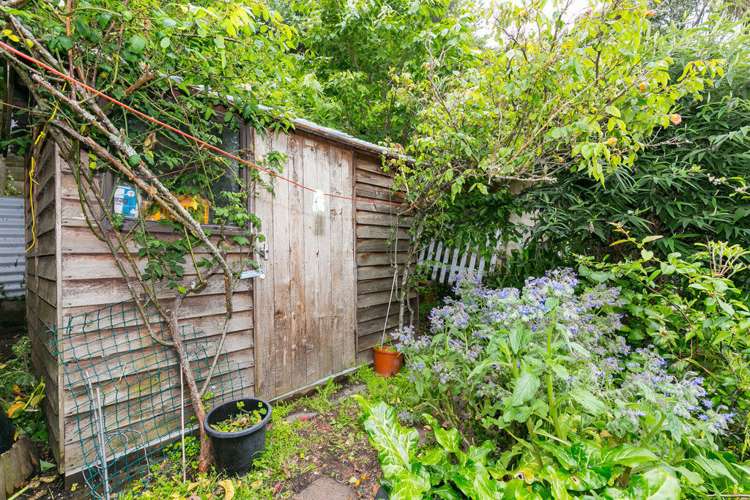 19 Holloway Road Aro Valley_17