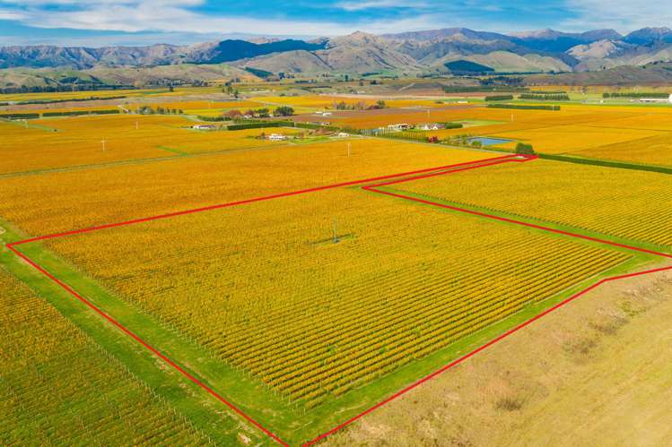96 Shandon Road Waihopai Valley_1