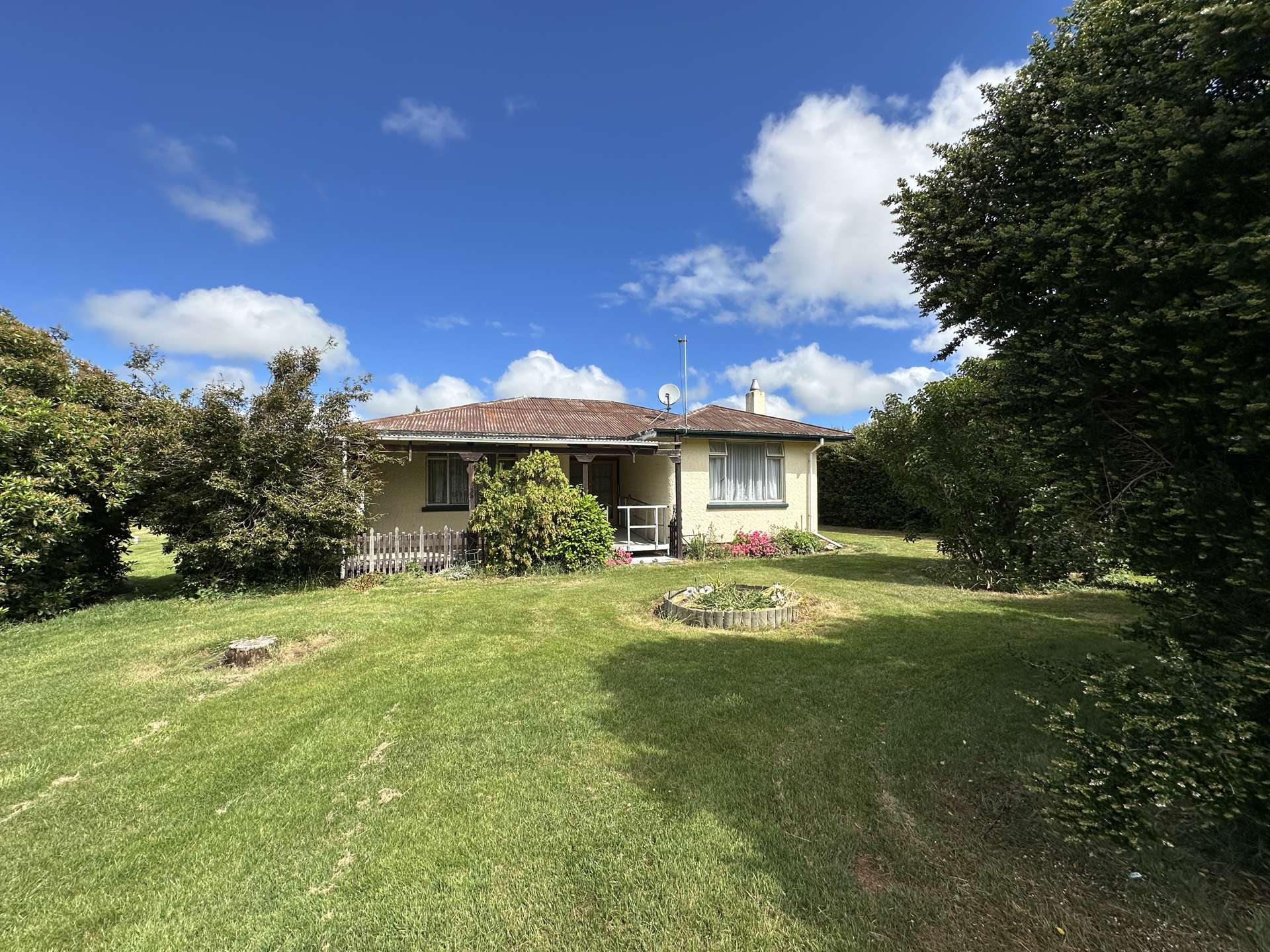 86 David Street Hinds_0