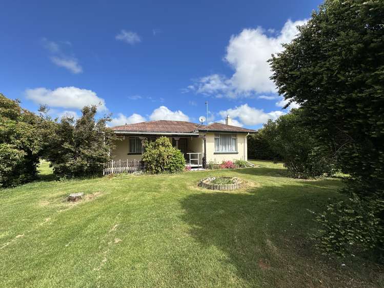 86 David Street Hinds_0