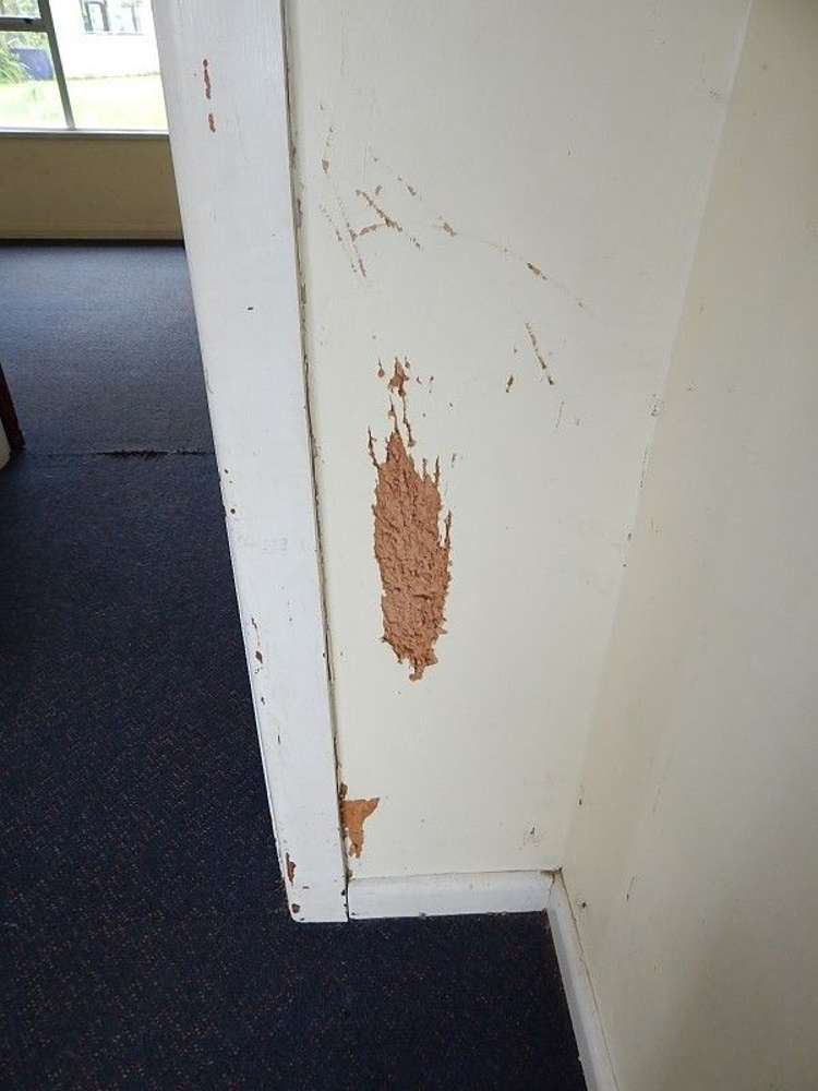 50 Neighbours Street Waimangaroa_21