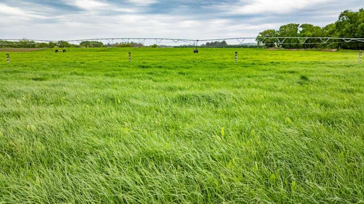 62 Waiau West Road Cheviot_4